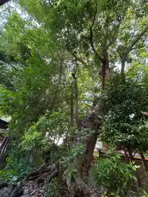検見川神社(千葉県)