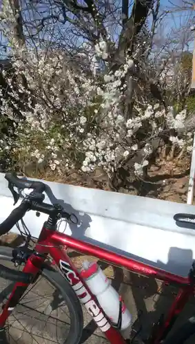 検見川神社(千葉県)