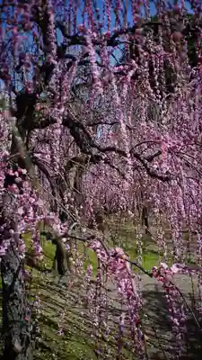 城南宮(京都府)