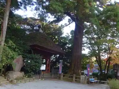宝城坊のその他建物