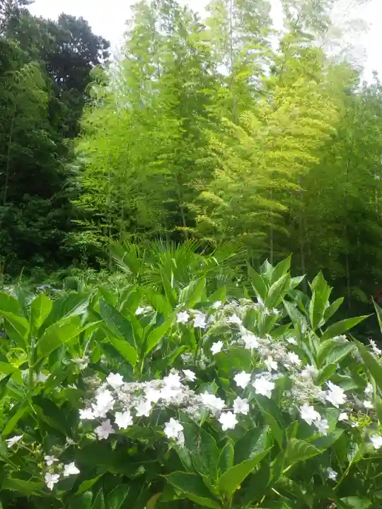 御霊神社の自然