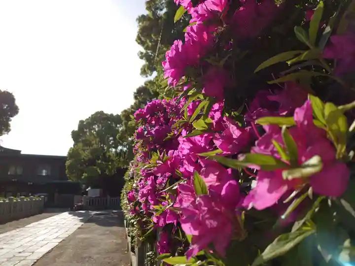 和泉國一之宮 大鳥大社の自然