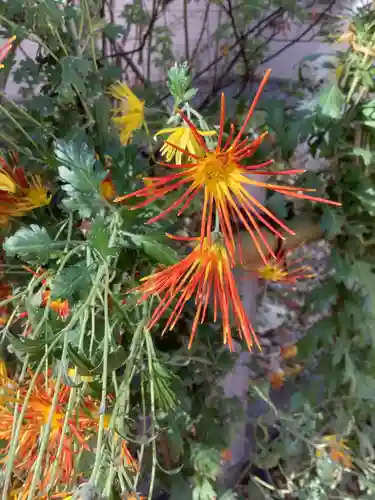 富部神社の自然