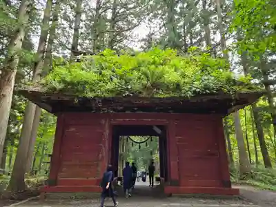 戸隠神社九頭龍社(長野県)