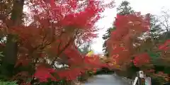 鍬山神社の自然