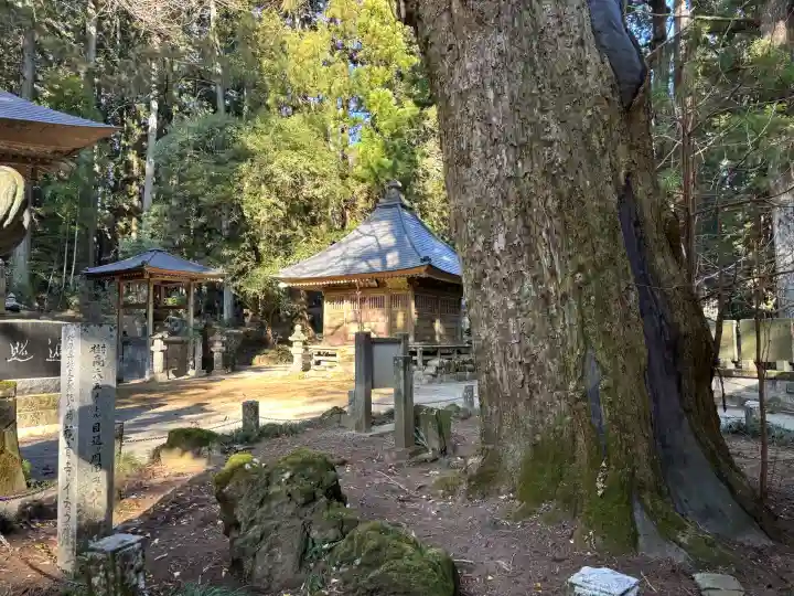 観音寺(寺山観音)の{uncategorized: "未分類", other: "その他", undefined: "問題あり", building: "その他建物", grave: "お墓", sacred_gate: "鳥居", guardian: "狛犬", statue: "像", buddha: "仏像", history: "歴史", nature: "自然", garden: "庭園", animal: "動物", pagoda: "塔", temizu: "手水舎", mountain_gate: "山門・神門", sanctuary: "本殿・本堂", subordinate: "末社・摂社", art: "芸術", scenery: "景色", jizo: "地蔵", ema: "絵馬", goshuin: "御朱印", omikuji: "おみくじ", items: "授与品その他", amulet: "お守り", goshuincho: "御朱印帳", eats: "食事", festival: "お祭り", votive_dance: "神楽", shichigosan: "七五三参", wedding: "結婚式", experience: "体験その他", initially: "初詣", around: "周辺", anti_infection: "感染症対策"}