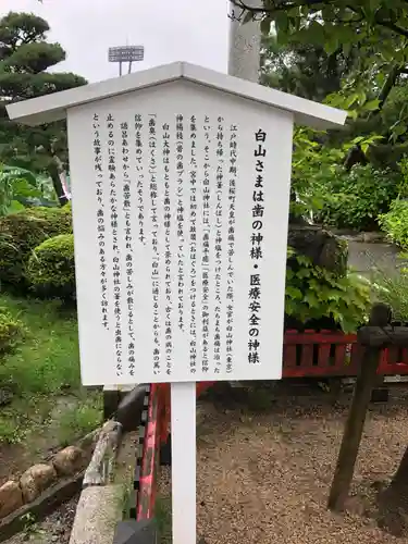 白山神社(新潟県)