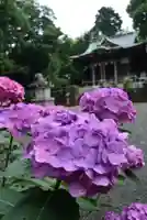 西八朔杉山神社(神奈川県)