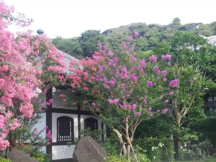 長谷寺のその他建物