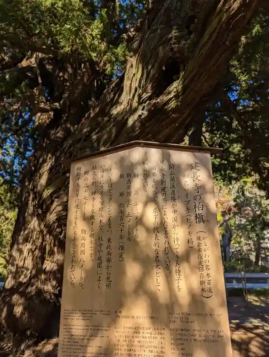 建長寺(神奈川県)
