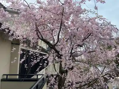 善行院(京都府)