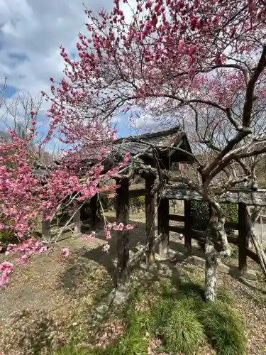 陽林寺(福島県)
