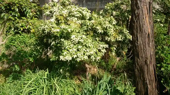 弥生神社のその他建物
