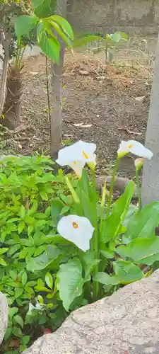 厄除の宮　駒林神社(兵庫県)