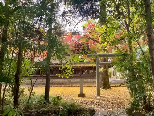 御霊神社（上御霊神社）の鳥居