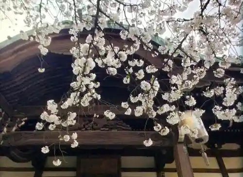 龍光寺(東京都)