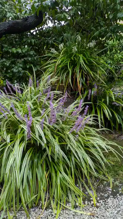 浄篤院(京都府)