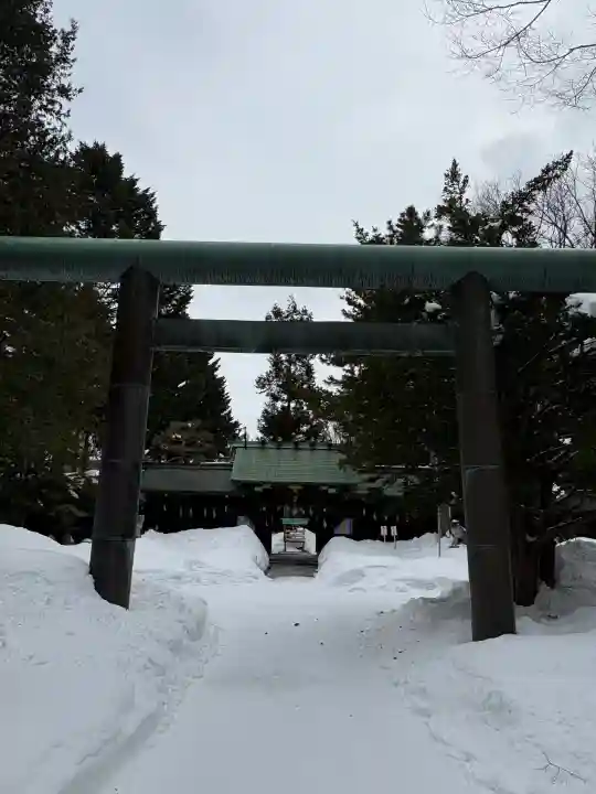 琴似神社の{uncategorized: "未分類", other: "その他", undefined: "問題あり", building: "その他建物", grave: "お墓", sacred_gate: "鳥居", guardian: "狛犬", statue: "像", buddha: "仏像", history: "歴史", nature: "自然", garden: "庭園", animal: "動物", pagoda: "塔", temizu: "手水舎", mountain_gate: "山門・神門", sanctuary: "本殿・本堂", subordinate: "末社・摂社", art: "芸術", scenery: "景色", jizo: "地蔵", ema: "絵馬", goshuin: "御朱印", omikuji: "おみくじ", items: "授与品その他", amulet: "お守り", goshuincho: "御朱印帳", eats: "食事", festival: "お祭り", votive_dance: "神楽", shichigosan: "七五三参", wedding: "結婚式", experience: "体験その他", initially: "初詣", around: "周辺", anti_infection: "感染症対策"}