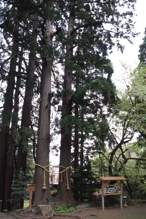 金峯神社の自然