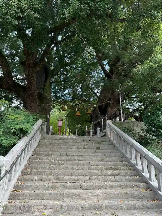 山王神社の自然