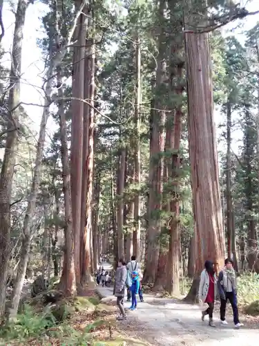 戸隠神社奥社の自然