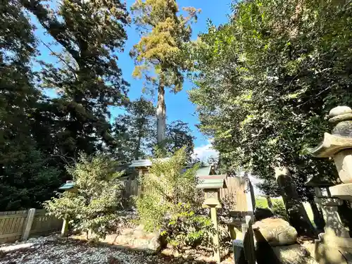 葉生田神社の建物その他