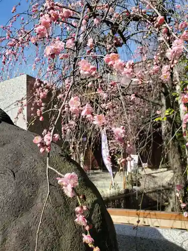 牛天神北野神社(東京都)