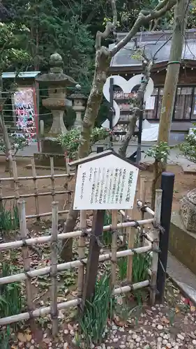 江島神社の庭園