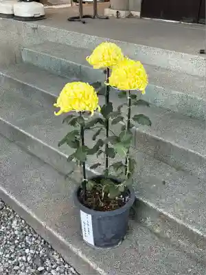 蛇窪神社(東京都)