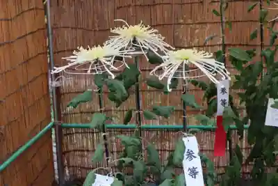 高麗神社のその他建物