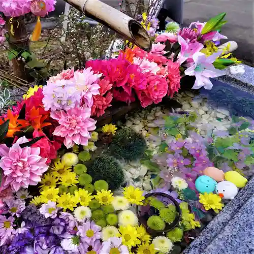 陽林寺の手水舎