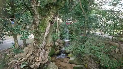常宮神社(福井県)