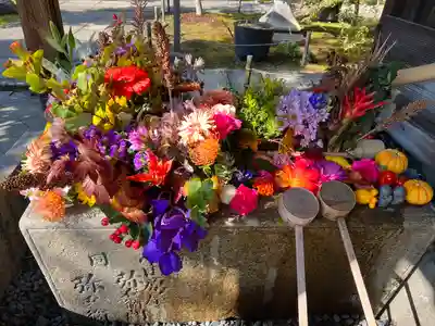 勝林寺(京都府)