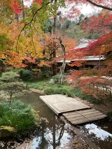 明月院の庭園