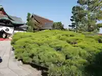 大覚寺(京都府)