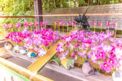 國分八幡宮(香川県)