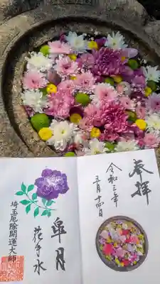 花手水と皐月の御朱印