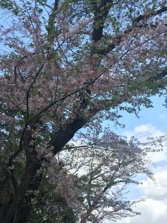 延寿院(千葉県)