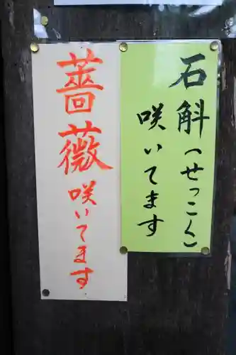 円通院のその他建物