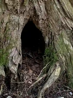 早池峰神社の自然