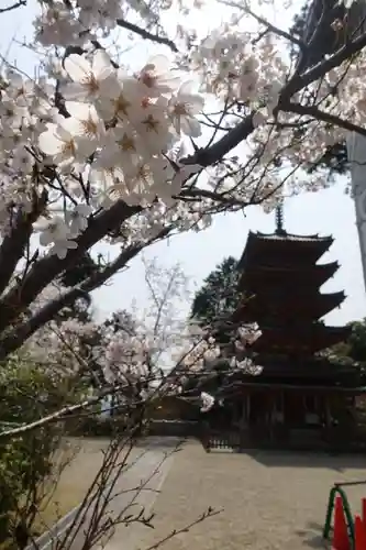 海住山寺の塔