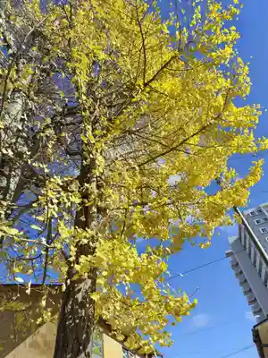 阿邪訶根神社(福島県)
