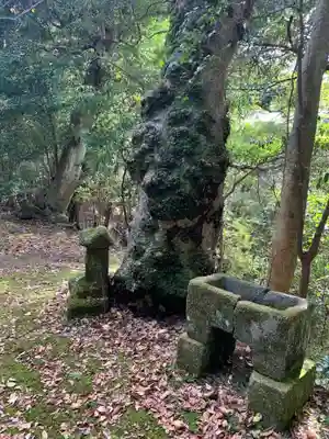 八坂神社(千葉県)
