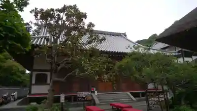 佛日庵の本殿・本堂