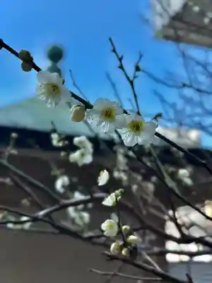 静岡天満宮(静岡県)