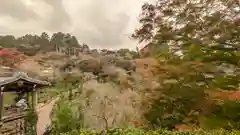 善峯寺(京都府)