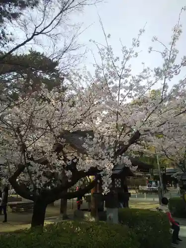 武田神社の庭園