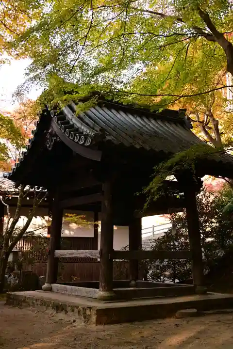 圓光寺(京都府)