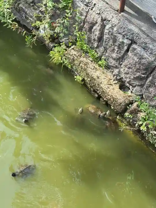三条八幡宮(新潟県)