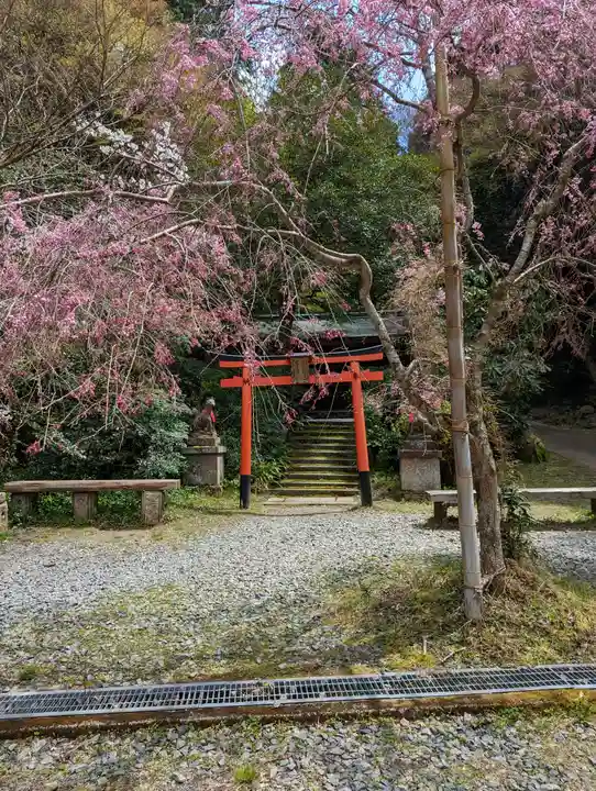 日向大神宮(京都府)